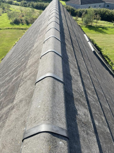 S&A Roof Cleaning & Exterior Cleaning Services