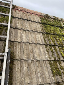 S&A Roof Cleaning & Exterior Cleaning Services