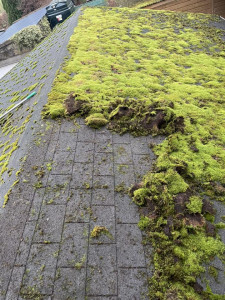 S&A Roof Cleaning & Exterior Cleaning Services