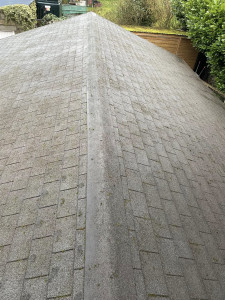 S&A Roof Cleaning & Exterior Cleaning Services